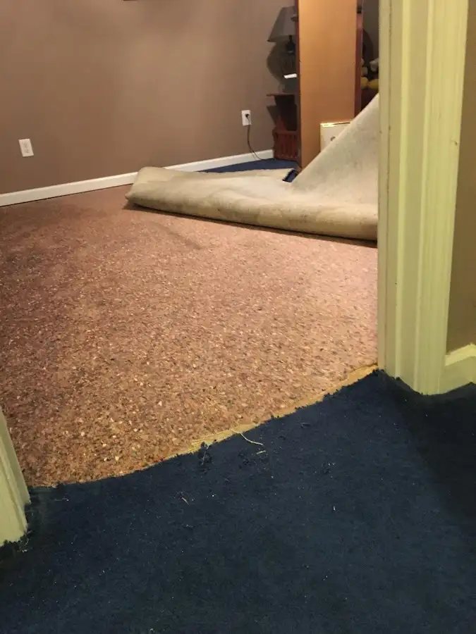 Carpet pad removal revealing water damage during Water Mitigation Services in Tobyhanna